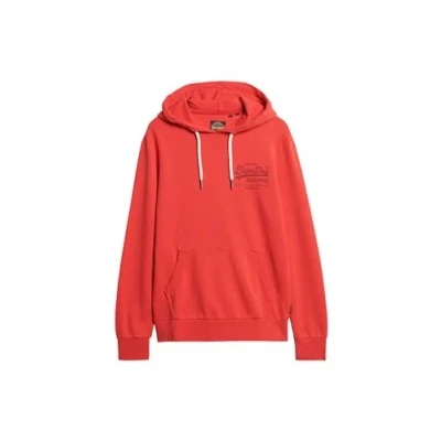Abbildung von Superdry Kapuzensweatshirt EMBELLISHED VL GRAPHIC HOOD