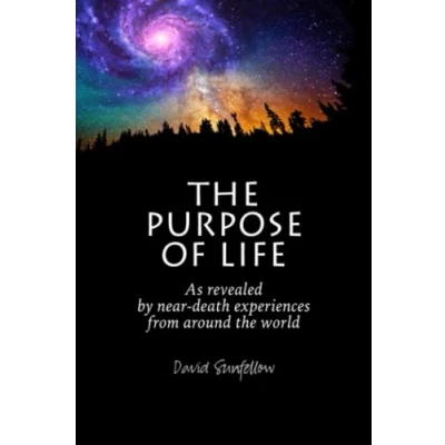 Abbildung von the Purpose of Life as Revealed by Near Death Experiences from Around World