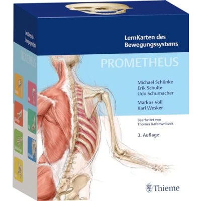 Abbildung von PROMETHEUS LernKarten des Bewegungssystems