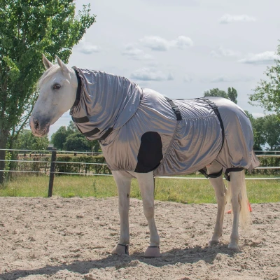 Abbildung von Harry&#039;s Horse Ekzem /Fliegendecke UV Grau / Silber Unterlänge: 215 cm &amp; Rückenlänge: 165