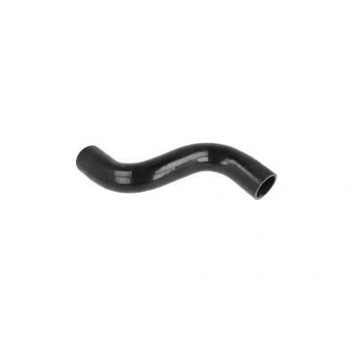 Abbildung von NRF 166169 Ladeluftschlauch NISSAN: Qashqai / Qashqai+2 I