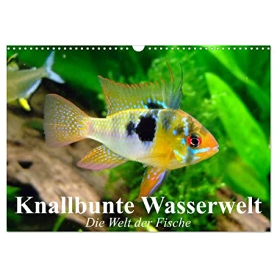 Abbildung von Knallbunte Wasserwelt. Die Welt der Fische (Wandkalender 2025 DIN A3 quer), CALVENDO Monatskalender