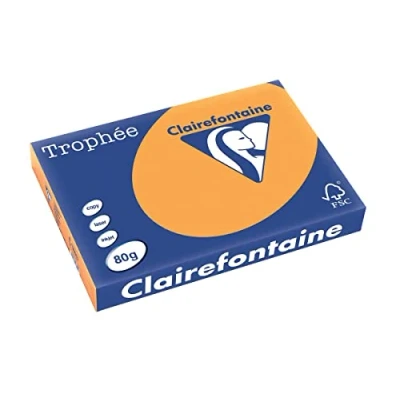 Abbildung von 5 x Clairefontaine Kopierpapier Trophee A3 80g/qm VE=500 Blatt mandari