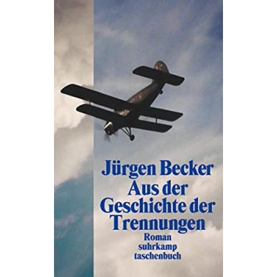 Abbildung von Aus der Geschichte Trennungen: Roman