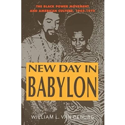 Abbildung von New Day in Babylon: The Black Power Movement and American Culture, 1965 1975