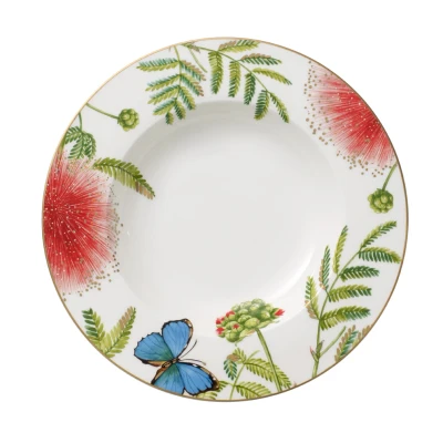 Abbildung von Villeroy &amp; Boch Amazonia Anmut Suppenteller 24 cm