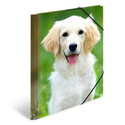 Abbildung von HERMA 7139 Sammelmappe A4 Tiere Hunde, Kinder Eckspanner Mappe aus Kunststoff mit Innendruck &amp; Gummizug, stabile Einschlagmappe Plastik für Jungen Mädchen