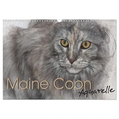 Abbildung von Maine Coon Aquarelle (Wandkalender 2025 DIN A3 quer), CALVENDO Monatskalender