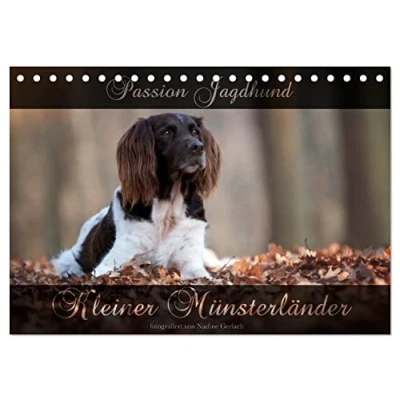 Abbildung von Passion Jagdhund Kleiner Münsterländer (Tischkalender 2025 DIN A5 quer), CALVENDO Monatskalender
