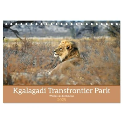 Abbildung von Kgalagadi Fauna und Wildtiere in der Kalahari (Tischkalender 2025 DIN A5 quer), CALVENDO Monatskalender