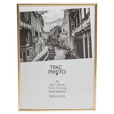 Abbildung von The Photo Album Company Fotorahmen, A3 (29.7 x 42 cm), goldfarben A3MARGLD