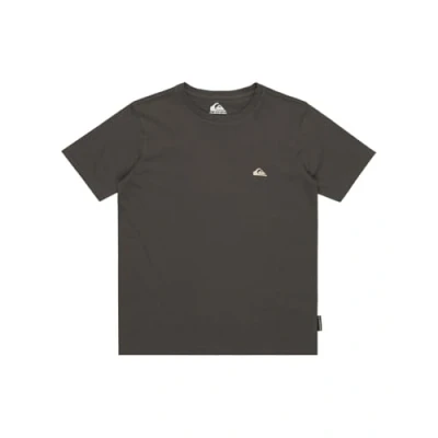 Abbildung von Quiksilver Basicscreenssyt T Shirt mit kurzen Ärmeln Kind