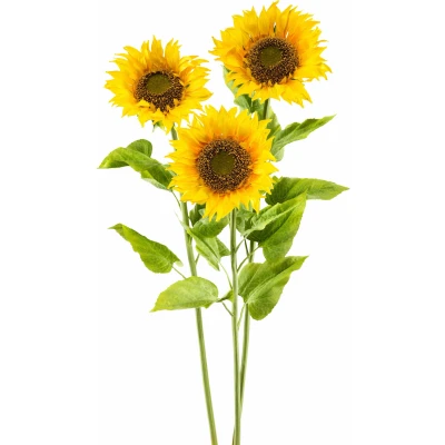 Abbildung von Creativ green Kunstblume &quot;XL&quot;