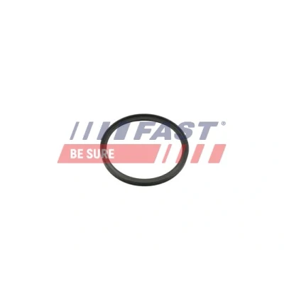 Abbildung von FAST FT49857 Dichtring BMW: 4 Gran Coupe, X3, NISSAN: NV300 Kastenwagen, RENAULT: Trafic 3 Bus