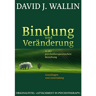 Abbildung von Bindung und Veränderung in der psychotherapeutischen Beziehung: Grundlagen Anwendung