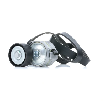 Abbildung von RIDEX 542R0085 Keilrippenriemensatz FORD: S Max Mk1, Galaxy Mk2 MPV, PEUGEOT: 508 I SW, 807 407 CITROËN: C5 III Kombi, II C8