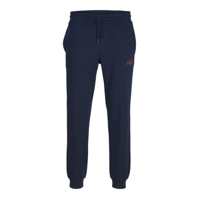 Abbildung von Jack &amp; Jones Sweathose &quot;JPSTGORDON JJFERRIS SWEAT PANTS IMP&quot;