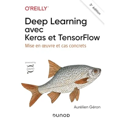 Abbildung von Deep Learning avec Keras et TensorFlow 3e éd.: Mise en oeuvre cas concrets