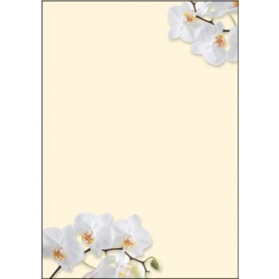 Abbildung von SIGEL DP904 Motiv Papier &quot;White Orchid&quot;, Briefpapier 90 g, DIN A4, 50 Blatt, aus nachhaltigem