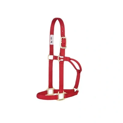Abbildung von Weaver Leather Original Nicht verstellbares Halfter (rot, Avarage Horse/Jährling Zugluft)