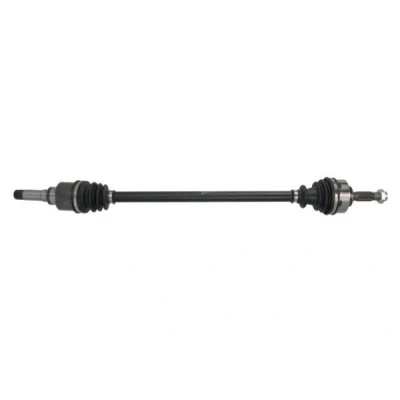 Abbildung von Antriebswelle PASCAL G2C060PC