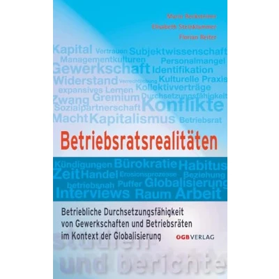 Abbildung von Betriebsratsrealitäten: Betriebliche Durchsetzungsfähigkeit von Gewerkschaften und BetriebsrätInnen im Kontext der Globalisierung (Studien Berichte)