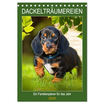 Abbildung von Dackelträume Ein Familienplaner für das Jahr (Tischkalender 2025 DIN A5 hoch), CALVENDO Monatskalender