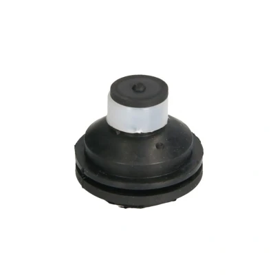 Abbildung von REINHOCH RH11 2109 Motorlager vorne RENAULT: Kangoo I Rapid, MEGANE 2 Kombi,