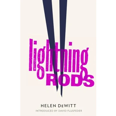 Abbildung von Lightning Rods: Shortlisted for the 2013 Bollinger Everyman Wodehouse Prize comic fiction