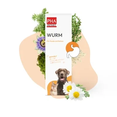 Abbildung von PHA WURM für Hunde u. Katzen 50 ml