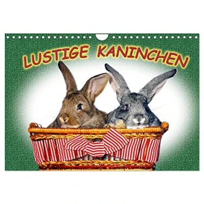 Abbildung von Lustige Kaninchen (Wandkalender 2025 DIN A4 quer), CALVENDO Monatskalender