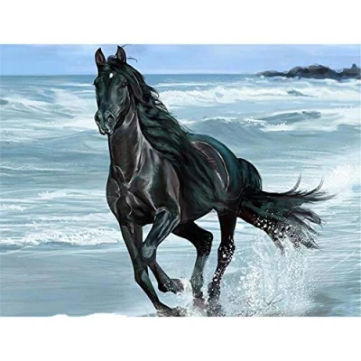 Abbildung von Yingxin34 Jigsaw Puzzle 1000 Teile, Schwarzes Pferd am Meer Stück Puzzles für Erwachsene Kinder Freunde, Intellektuelles Psychedelisches Kartenspiel 30x20 Zoll (75 x 50cm)