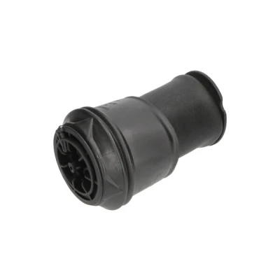 Abbildung von Luftfeder, Fahrwerk KAVO PARTS SAS 10008
