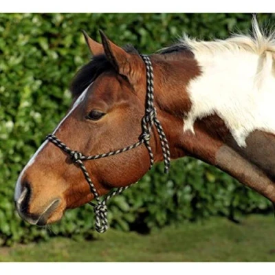 Abbildung von Knotenhalfter 9125 schwarz/beige Pony