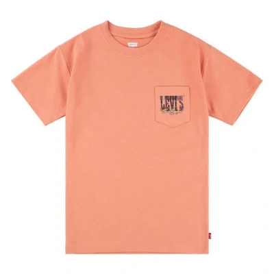 Abbildung von Levi&#039;s Canyon Landscape TEE Tshirt print für Kinder, Größe: 164, Tawny orange