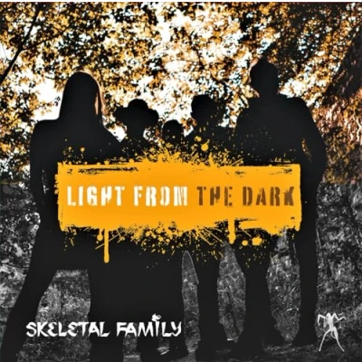 Abbildung von Light From The Dark [VINYL] [Vinyl LP]