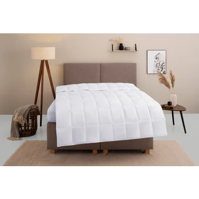 Abbildung von Home affaire Daunenbettdecke &quot;Marseilles Bettdecke 135x200 cm, 155x220 cm und weiteren Größen&quot;, leicht, Bezug 100% Baumwolle, (1 St.)