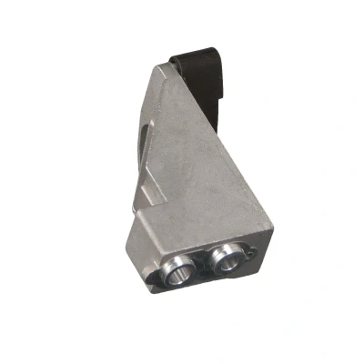 Abbildung von FEBI BILSTEIN 24919 Gleitschiene, Steuerkette rechts BMW: X5, 5 Touring, Limousine