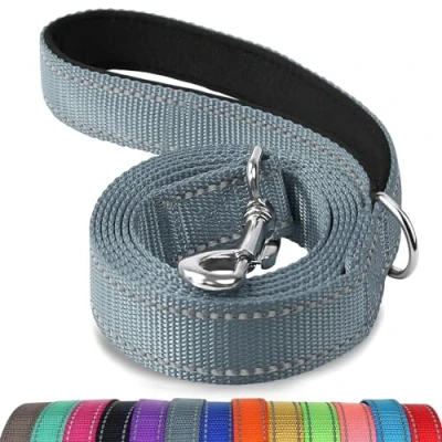 Abbildung von Joytale Hundeleine Kleine Hunde Leicht, Doppelseitig Reflektierende Leine Hund aus Nylon mit Gepolstertem Griff, 1,2m x 2cm, Grau