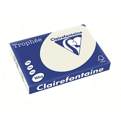 Abbildung von 4 x Clairefontaine Kopierpapier Trophee A3 160g/qm VE=250 Blatt perlgr