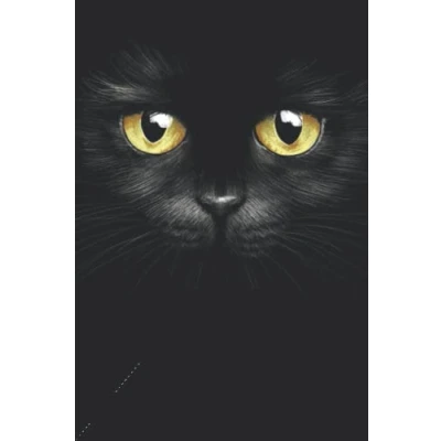Abbildung von Katzen Notizbuch Schwarze Katze: Schulheft Format: A5 (6x9 Zoll) 110 Seiten Kariert Mit Seitenzahlen Tagebuch Notizheft Hausaufgabenheft Original FD DESIGN
