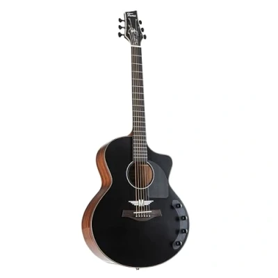 Abbildung von Fame Peter Maffay Signature Black Stone Westerngitarre