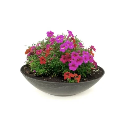 Abbildung von matches21 wetterfeste Pflanzschale für draussen große Dekoschale in schwarz marmoriert als Blumenschale Flache Garten Schale 35 cm Blumen, Bonsai oder Friedhof Grab Schmuck
