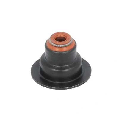 Abbildung von REINZ 70 33447 00 Ventilschaftdichtung RENAULT: Kangoo I, I Rapid, CLIO 2 Kasten