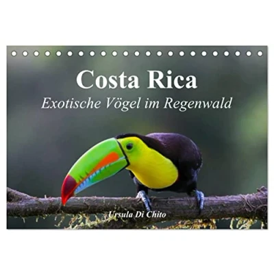 Abbildung von Costa Rica Exotische Vögel im Regenwald (Tischkalender 2025 DIN A5 quer), CALVENDO Monatskalender
