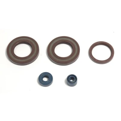 Abbildung von Motordichtungen, komplett ATHENA P400220400350