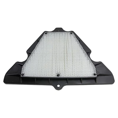 Abbildung von Büse HFA2920 Luftfilter, Large