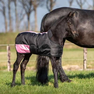 Abbildung von Harry&#039;s Horse TwoTone Fohlendecke
