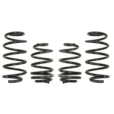 Abbildung von EIBACH Pro Kit E10 75 008 11 22 Fahrwerksatz, Federn RENAULT: CLIO 3