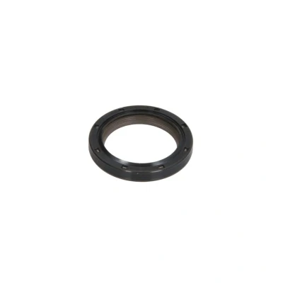 Abbildung von REINZ 81 38627 00 Nockenwellendichtung RENAULT: ESPACE 4, SCENIC 2, MEGANE 2 Coupe Cabriolet